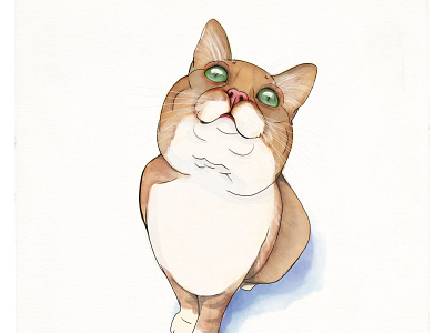 Cat Whatercolor art digital cat design gato hdc hdc estudio illustraion illustration illustration artist paint sebas whatecolor