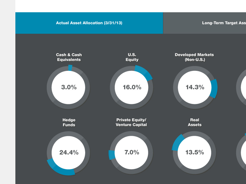 Annual Report Pie Charts by Adam Butler on Dribbble