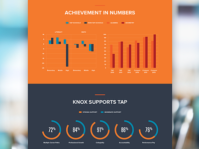 Charts for Education Reform Microsite bright charts clean corporate education flat graph infographics microsite modern proxima nova website