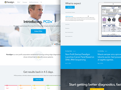 Paradigm Homepage Concept 1 cancer clean clinical corporate healthcare homepage medical research science web design website