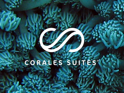 Corales Suites estate hotel investment real tenerife
