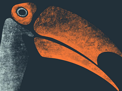 Toucan illustration illustration procreate sketch