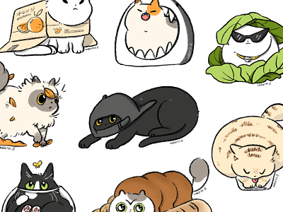 Cat fits! cat cats cute illustration print