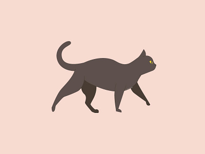 Catto cat illustration