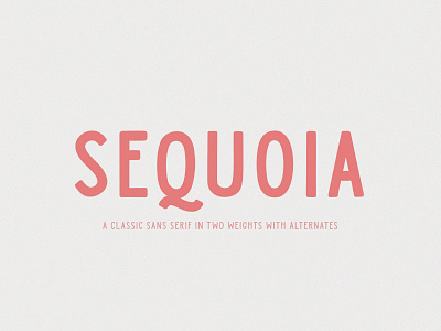 Sequoia Sans Typeface