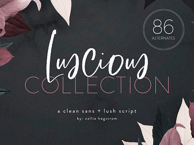 The Luscious Font Collection branding font calligraphy clean collection font font design logo font new sans serif script type typeface