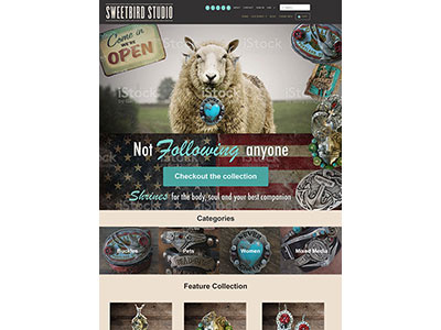 Sweetbird Retail Homepage Comp 3 hero homepage jewelry retail website