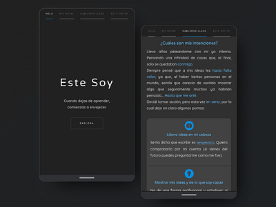 EsteSoy.site | My Personal Website articles blog branding clean dark blue dark ui design flat minimal minimalistic notes personal personal project responsive spanish website stories website