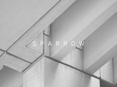 Sparrow branding construction grey logo property typography