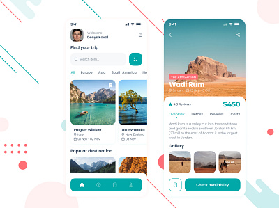 Travel App Concept