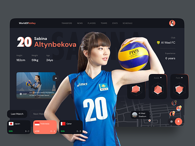 World Of Volley - Sport Dashboard