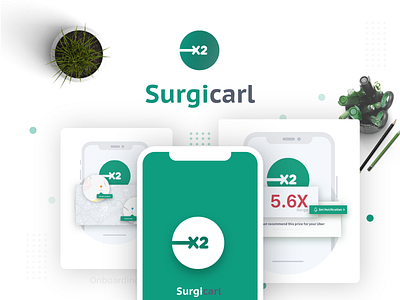 Surgical case study illustration mobile style guide ui