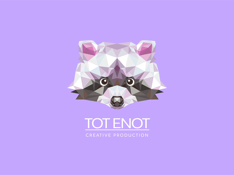Animation for web-site 2d animation design gif low poly polygonal raccoon web design