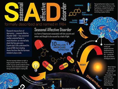 Infographic Double-Sided Poster hierarchy infographic information design information graphics poster typogaphy