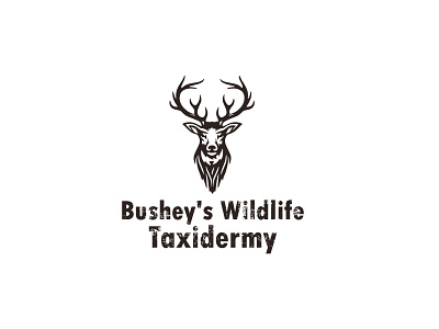 Bushey s Wildlife Taxidermy 2 branding design flat graphic design logo minimal vector