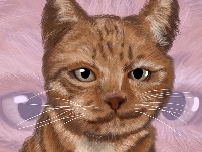 cat animal art animal illustration illustration sketch
