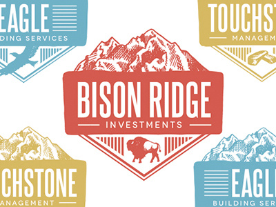 Bison Ridge Logo Series bison buffalo eagle investments ridge touchstone