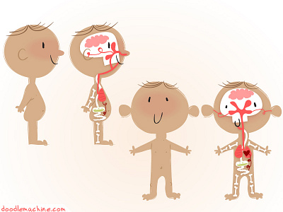 Baby Guts & Bones art baby body bones boy character cute educational health illustration medical vector