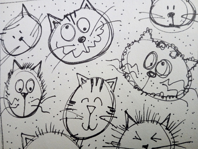 Kitten cartoon cat cats characterdesign cute drawing fun funny illustration kids kitten kitty pieloot sketch