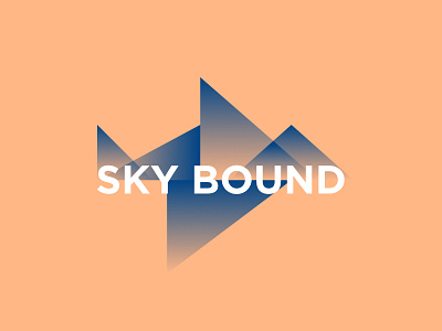 Airline DailyLogoChallenge branding dailylogochallenge dailylogodesign design logo typography