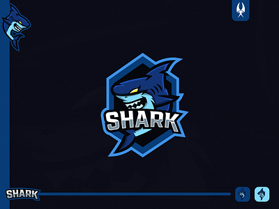 Shark logo branding design esportlogo gaminglogo illusrator logo