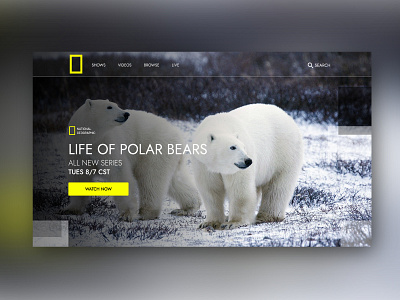 Nat Geo TV Show Page design minimal national geographic television ui ux web website