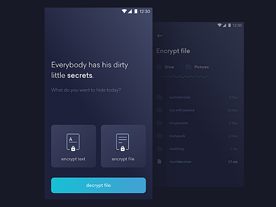 Encryption app dark encryption material mobile secret security ui