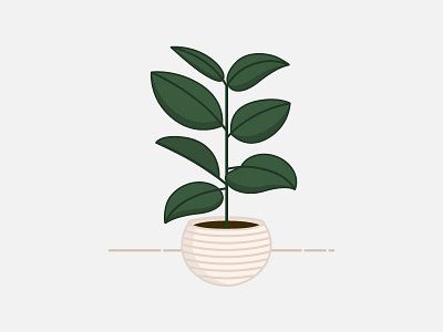 My Baby Ficus Elastica ficus ficus elastica green house garden illustration plant plant illustration planter