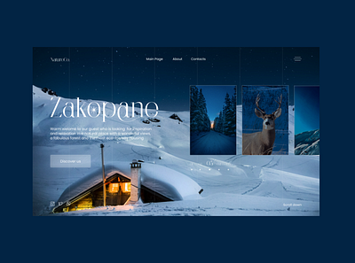 Winter Landing Page Concept daily design forest homepage inspiration landing page mountain nature ui web website winter
