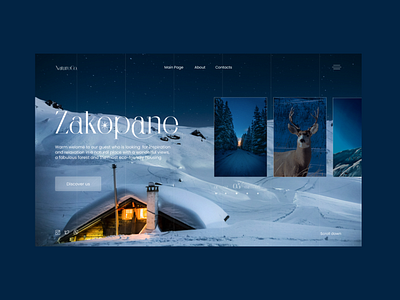 Winter Landing Page Concept