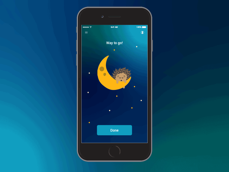 Sleeping Hedgehog animation design illustration screen ui