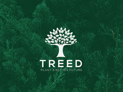tree logo brand identity branding design graphic design illustration logo logo design logodesign tree tree logo ui vector