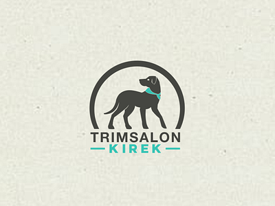 dog grooming logo brand identity branding character design dog dog grooming dog logo graphic design illustration logo logo design logodesign ui vector