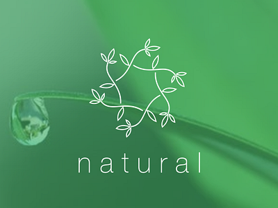 natural logo brand identity branding design graphic design logo logo design logodesign natural logo twig twig logo