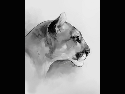 Mountain Lion art cat couger illustration mountain lion painting photoshop photoshop art portrait