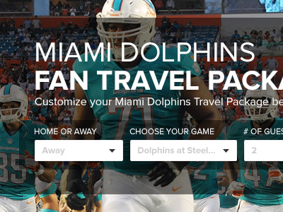 Dolphins Travel Package Form form modern transparent ui ux web