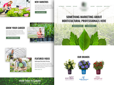 Plant Nursery Homepage