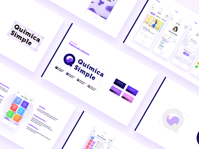 Química Simple app branding guidelines manual presentation