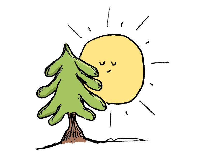 tree sun 2d after effects animation character doodle gif handrawn illustration loop motion graphics sun tree