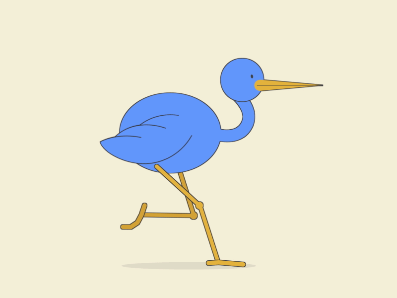 some kind of bird 2d animation after effects character motion graphics rubberhose