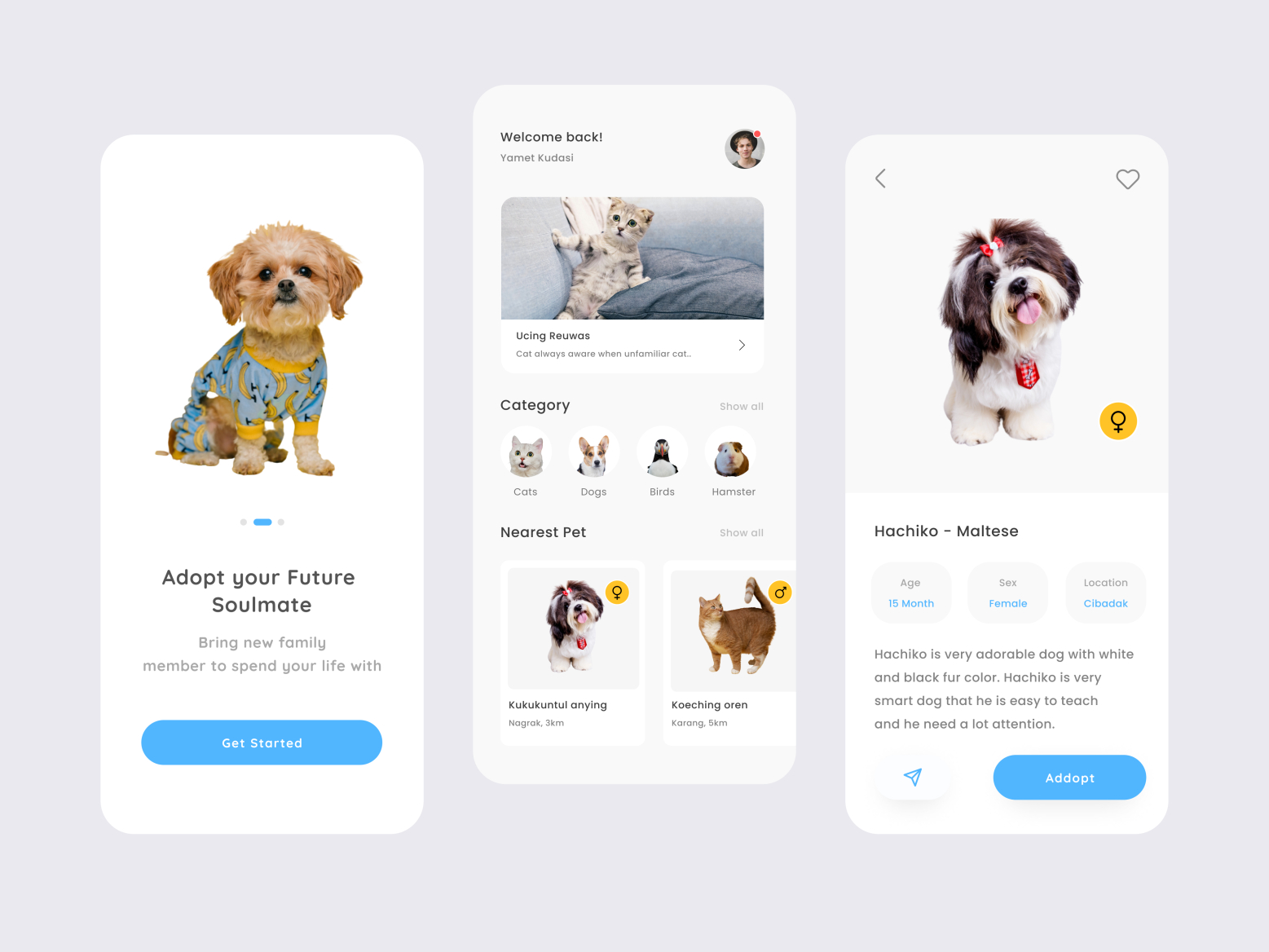 Pet Adoption Mobile App By Excel Belmiro On Dribbble