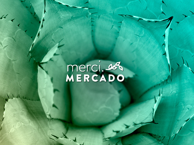 Merci Mercado Logotype brand gourmet logo mezcal