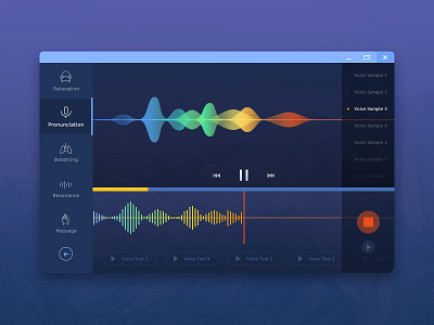 voice treatment application recorder treatment voice