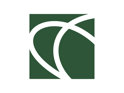 Veld Capital logo branding design icon logo vector