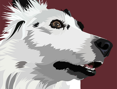 Daisy the border collie adobe illustrator digital art illustration pet portrait vector
