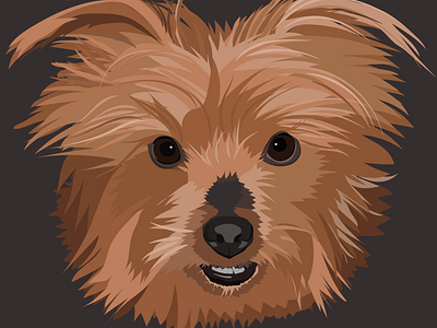 Misty the Yorkie adobe illustrator digital art illustration pet pet portrait vectorart