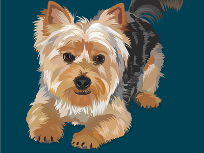 Buddy the Yorkie adobe illustrator digital art dog illustration pet portrait vector