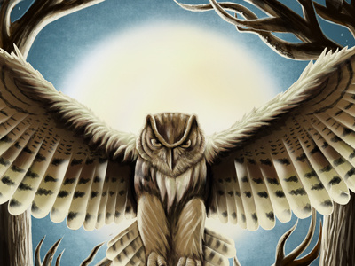 The Owls Are Not What They Seem agent cooper forest fright rags killer bob major briggs owl cave owls trees twin peaks
