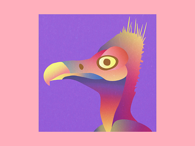 Vulture profile pic