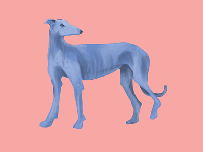 Blue Hound animals blue dog digital painting dog illustration minimaliste painting
